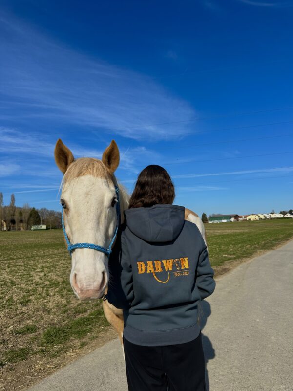 Hoodie femme – Image 2
