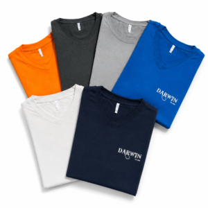 T-shirt col V 2024