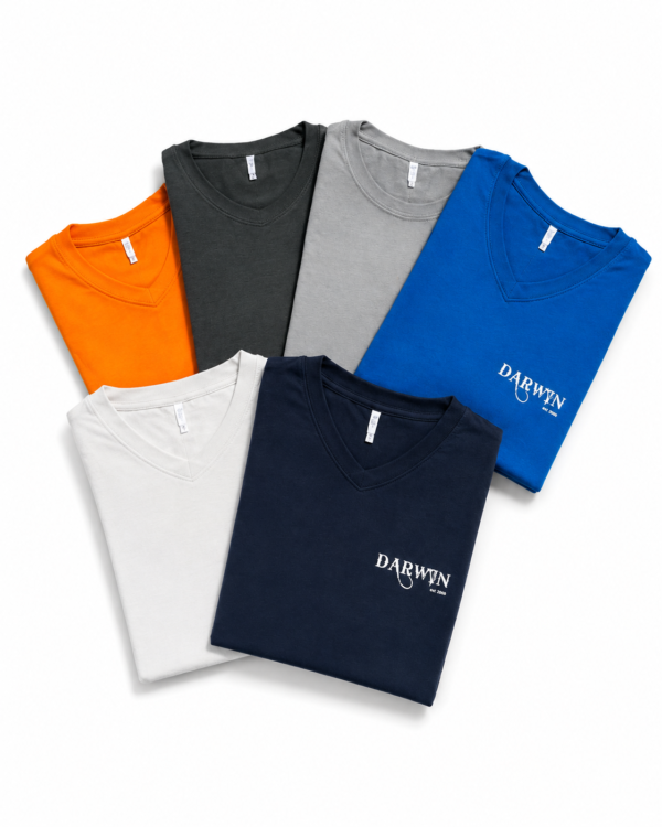 T-shirt col V 2024