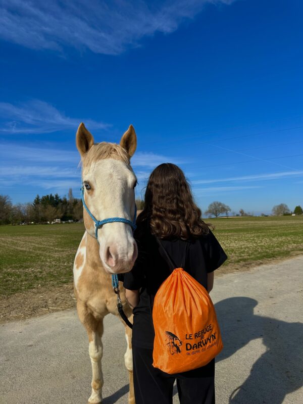 Sac de sport – Image 3