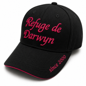 Casquette ancienne collection