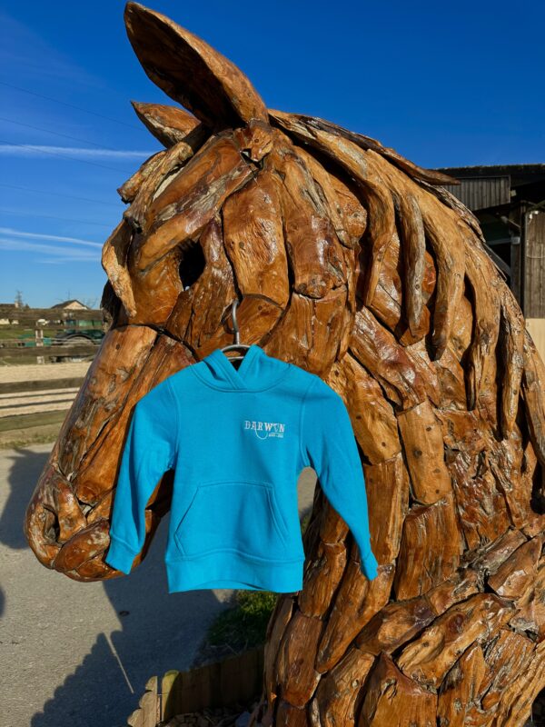 Children's sweater with hood