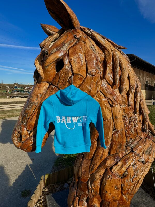 Children's sweater with hood - Image 2