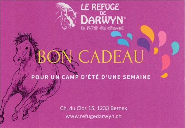 Bon pour une semaine de camp au Refuge! – Image 2