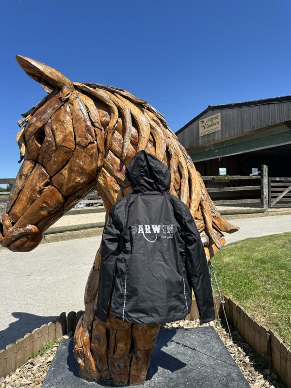 Veste 3 en 1 – Image 2