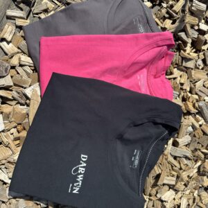 T-shirt manches courtes cintré col rond
