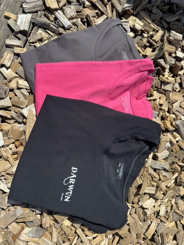 T-shirt manches courtes cintré col rond