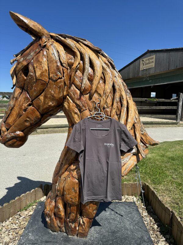 T-shirt manches courtes cintré col rond – Image 3