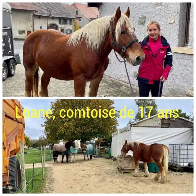 Un 1er novembre sous le signe de l’adoption ☺️

3 placements de chevaux de compagnie donc non montable, dans 3 familles d’accueil situées à 15 minutes chacun l’une de l’autre le même jour, on crie haut et fort : MERCI !!

Oui merci à vous, qui avait pensé à adopter un cheval retraité pour tenir compagnie à votre cheval et de lui offrir une vie où il sera choyé :

Nous sommes très heureux pour Loane et Syrano âgés de 17 ans et Mascotte âgée de 21 ans.

Merci à Julie, Florence et Nathalie 👌!