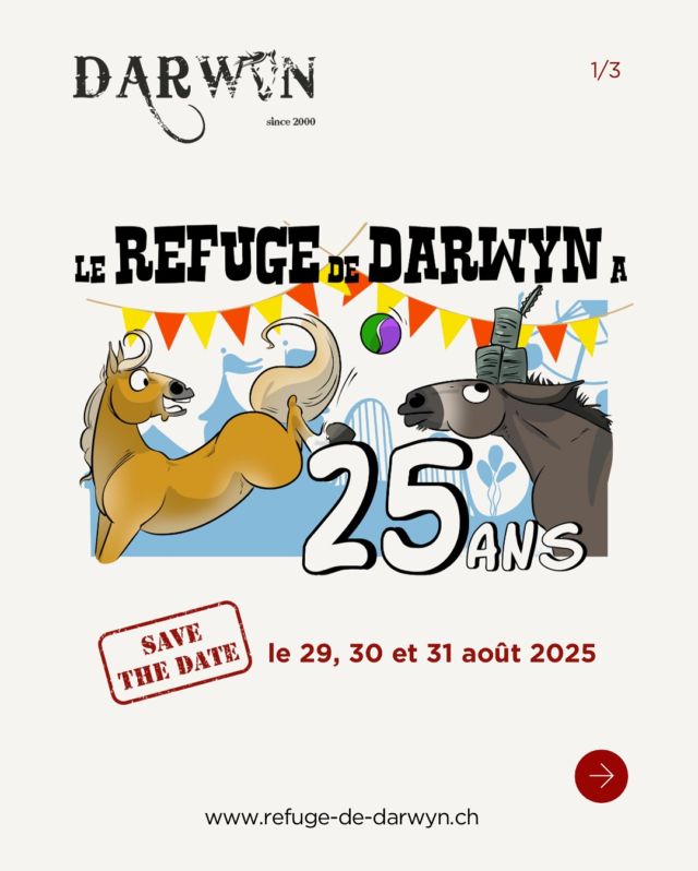 25 ANS, ÇA SE FÊTE ! 🥳🎉

Venez célébrer avec nous 25 ans d’engagement pour le bien-être des équidés et la solidarité humaine. 

Tous à vos calendriers pour bloquer les dates du 29, 30 et 31 août 2025 !! 🗓️✍🏼

👉🏼 Plus d’informations à venir

#protectionanimale #chevaux #horserescue #horseshelter #suisse #refuge #spa #psa #bienetreequin