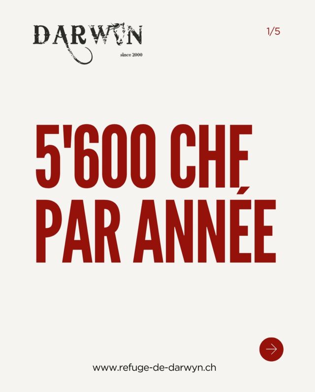 PARLONS CHIFFRES… 🔢

5600 CHF c’est ce que nous coûte un seul cheval en pension par année. 
Nous avons actuellement plus d’une centaine de chevaux en pension ce qui représente plus de 560’000 CHF à assumer par année. 

Ces frais sont assurés de divers façons:

🩵 Grâce à vous:
- Parrainage
- Famille d’accueil
- Dons 
- Cotisations des membres

🏡 Grâce à divers activités du Refuge:
- Fondues tous les jeudis et vendredis dans notre Saloon qui se transforme en véritable restaurant (Réservation: 078 640 28 68)
- Camps de vacances pour les enfants
- Anniversaires (dès 6 ans) les mercredis et samedis
- Pensions de chevaux de propriétaires sur notre site à Sézenove
- Événements divers (Bike Horse, Rock country, Brunch de Printemps, Pizzas en été etc)
- Location du saloon pour des événements privés
- La boutique du Refuge avec divers articles 

#protectionanimale #chevaux #horserescue #horseshelter #suisse #refuge #spa #psa #bienetreequin