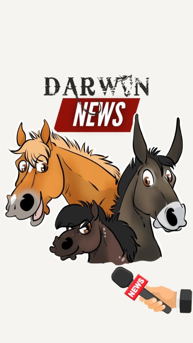 DARWYN NEWS 🎤

Les infos importantes de la semaine résumées en moins de 4 minutes (un exercice compliqué! 😜)

#protectionanimale #chevaux #horserescue #horseshelter #suisse #refuge #spa #psa #bienetreequin