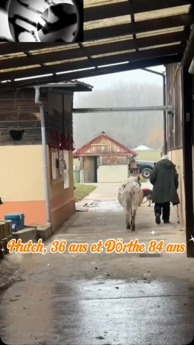 En vous souhaitant de belles fêtes de fin d’année ! 🥳🥂