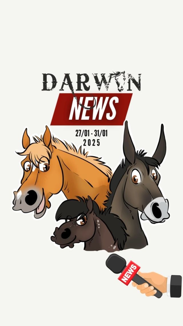 DARWYN NEWS 🎤
27/01 - 31/01 2025

Tu veux savoir ce qu’il s’est passé cette semaine au Refuge? Alors regarde cette video! 

Merci encore à :
🔹 Maude et Antoine Cloux de @salinas_farm_presilly du travail effectué avec Kaizen, qui lui a permis de prendre confiance en lui et d’évoluer sereinement.
🔸 Mila Moudon de chouchouter nos protégés.
Mila est ostéopathe diplômée pour les grands et petits animaux. Plus d’infos 👉🏼 www.milamoudon.com

#protectionanimale #chevaux #horserescue #horseshelter #suisse #refuge #spa #psa #bienetreequin