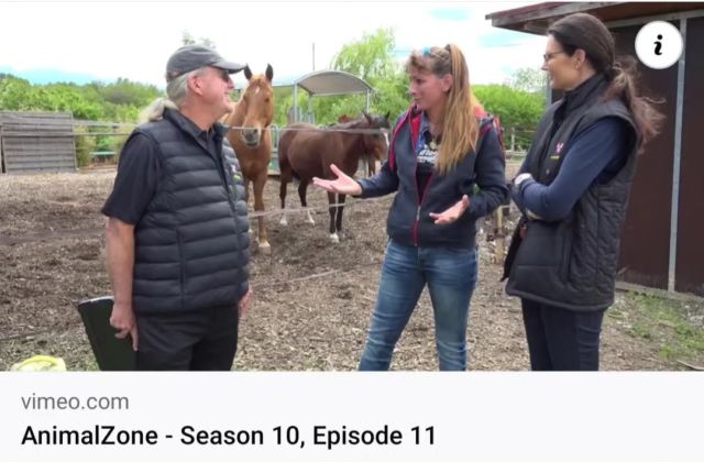 Darwyn sur ANIMAL ZONE, WHAOU !!!

Venus de Californie, pour leur premier tournage en Europe, nous avons eu le plaisir d'accueillir Arthur et son équipe en mai 2023 !

La diffusion du reportage a eu lieu samedi 14 octobre sur la chaîne américaine Cox Television !

Merci ANIMALZONE....quel plaisir de vous avoir accueilli et de pouvoir partager notre action sur les ondes américaines, un véritable honneur !

https://www.animalzone.org

https://vimeo.com/873006974