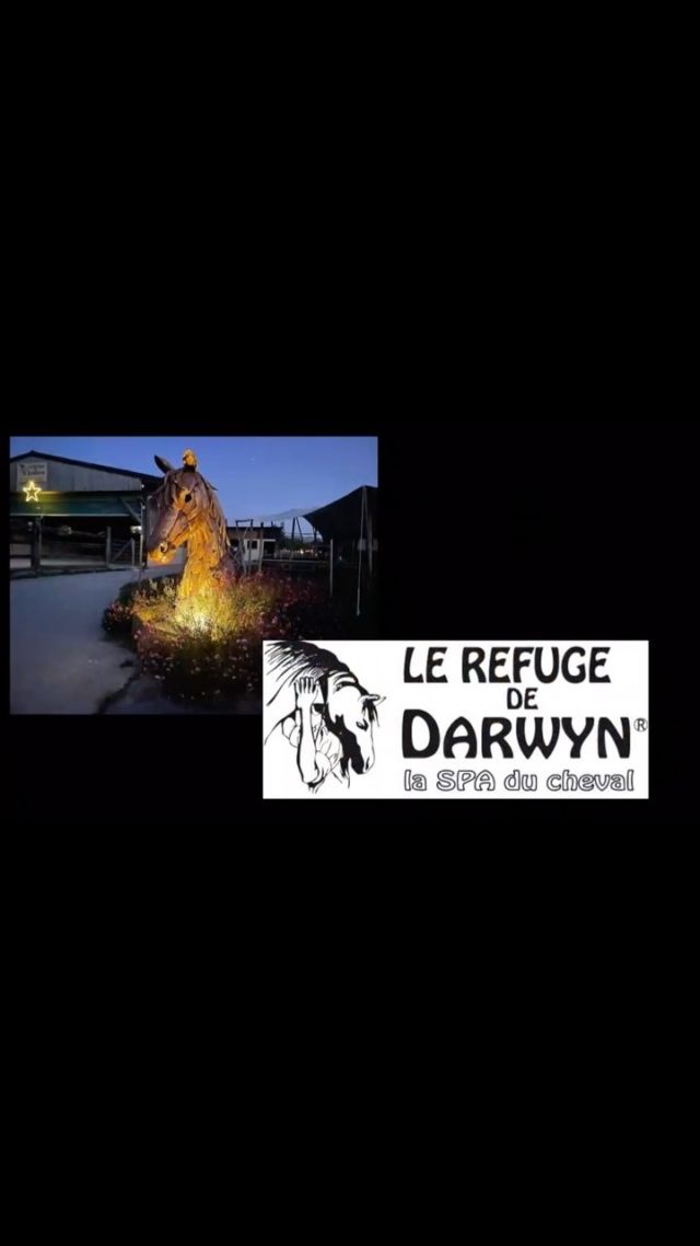 Voici la Présentation du Refuge de Darwyn !