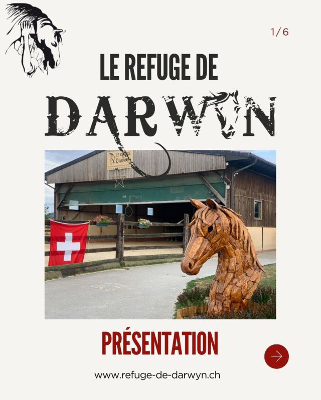 Nouvelle année, nouvelle résolution : être plus assidu dans la gestion d’instagram ✨

Nous avons prévu des publications et story variées pour vous permettre de mieux connaitre le Refuge, nos équidés et notre travail quotidien.

Pour commencer, voici une présentation courte du refuge.
👉🏼 Pour plus d’informations: www.refuge-de-darwyn.ch

🗓️ Rendez-vous mercredi pour un focus sur l’un de nos protégés.

#protectionanimale #chevaux #horserescue #horseshelter #suisse #refuge #spa #psa