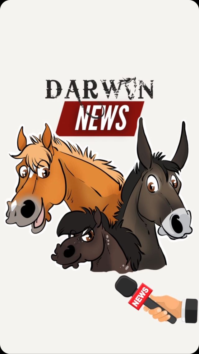 DARWYN NEWS 🎤

Un récap’ des informations importantes de la semaine.

#protectionanimale #chevaux #horserescue #horseshelter #suisse #refuge #spa #psa #bienetreequin