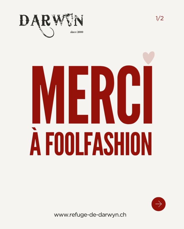 L’année dernière déjà, @foolfashion nous avait soutenus avec un geste généreux : reverser 1 franc sur ses ventes pour notre cause. Cette année, ils vont encore plus loin !

Ce qui nous touche profondément, ce n’est pas seulement cette générosité renouvelée, mais surtout la confiance qu’ils nous accordent. Une confiance bâtie sur la connaissance de notre travail, de nos valeurs et de l’impact réel que nous avons sur le terrain. Une confiance qu’ils transmettent aussi aux passionnés qui les suivent et qui, grâce à eux, découvrent notre mission et nous soutiennent à leur tour.

Dans le milieu du cheval, la solidarité et l’engagement font toute la différence. FOOLFASHION l’a bien compris, et nous leur en sommes infiniment reconnaissants.

Si vous partagez cette passion et ces valeurs, n’hésitez pas à les soutenir en retour. Chaque petit geste compte et, ensemble, nous faisons avancer les choses. 
👉🏼 www.foolfashion.ch

Merci à toute l’équipe FOOLFASHION pour cette belle fidélité et cet élan de générosité ! 🩵

#protectionanimale #chevaux #horserescue #horseshelter #suisse #refuge #spa #psa #bienetreequin